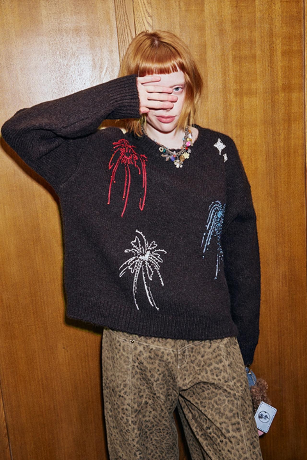 Beaded Fireworks Embroidered Sweater