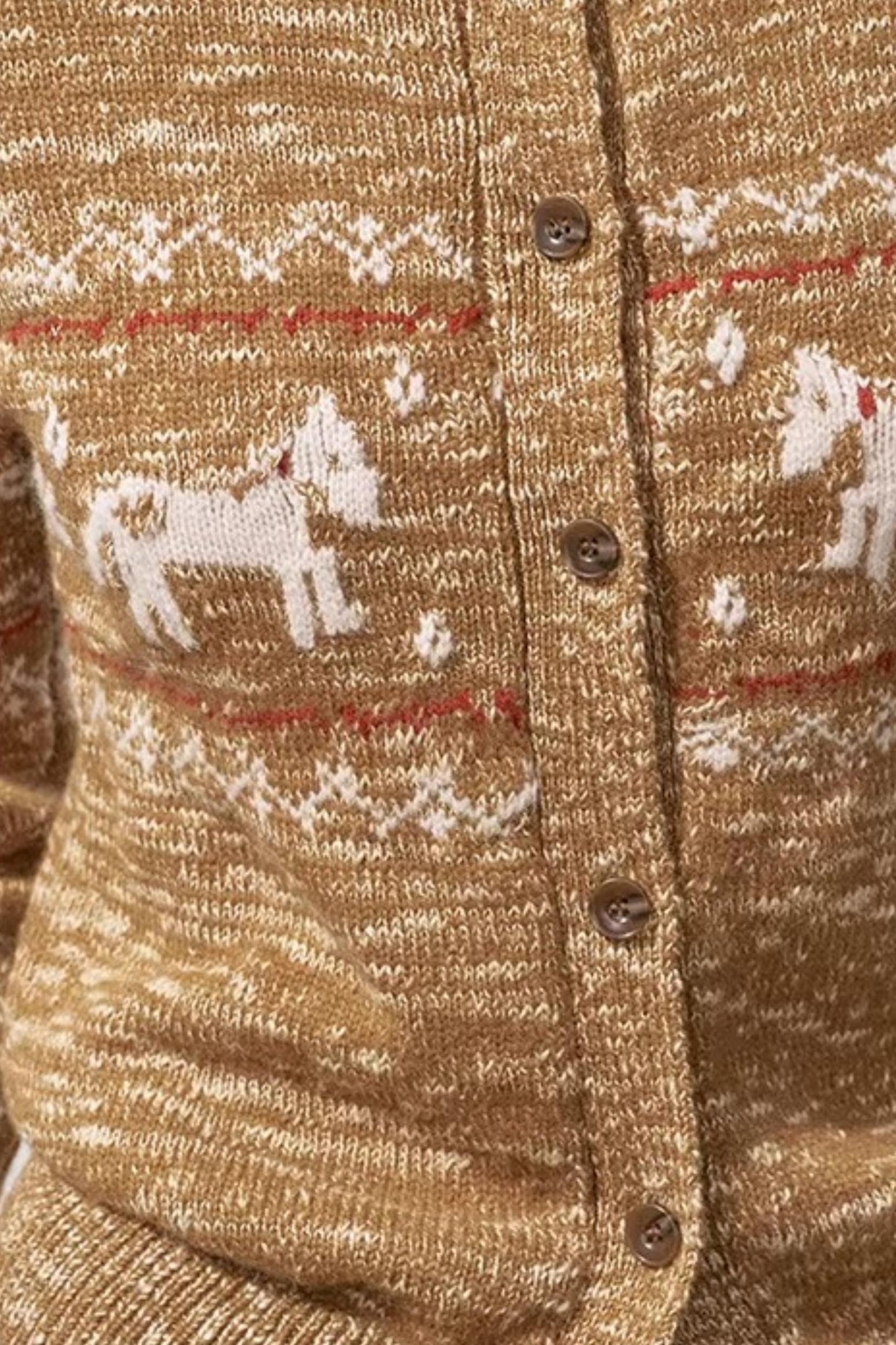 Fair Isle Floral Cardigan