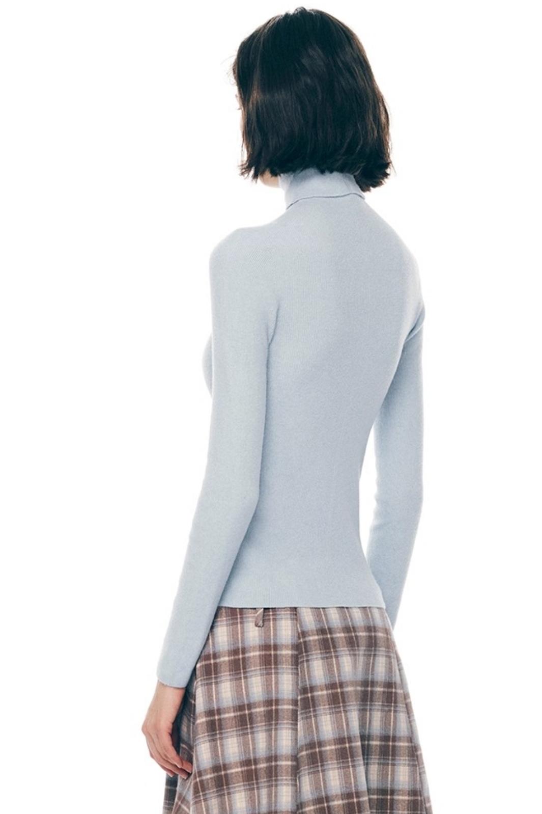 Winter Colorist Turtleneck Top