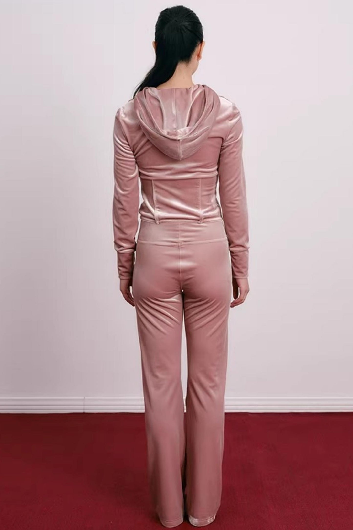 Velvet Embroidered Sweatshirt and Pants Set