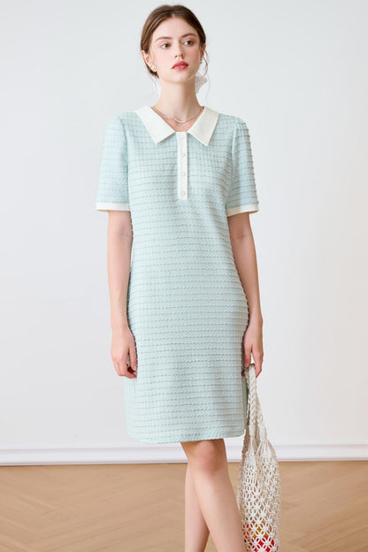 Summer Blue Striped Polo Dress