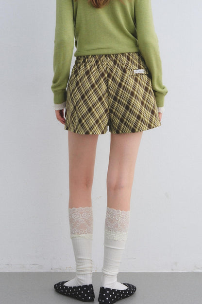 Sweet and Spicy A-line Mini Skirt