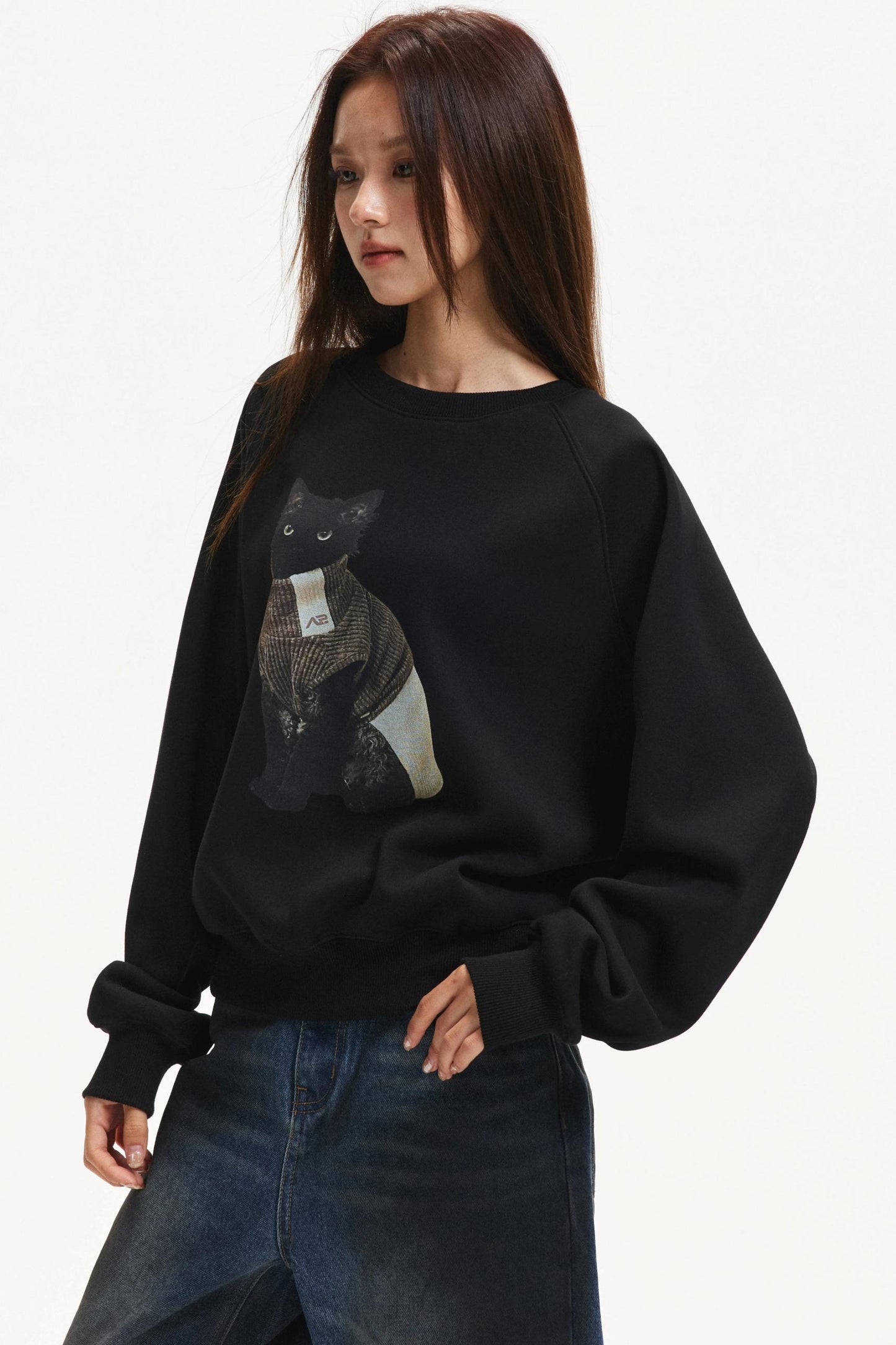 Kitten Print Raglan Sweater