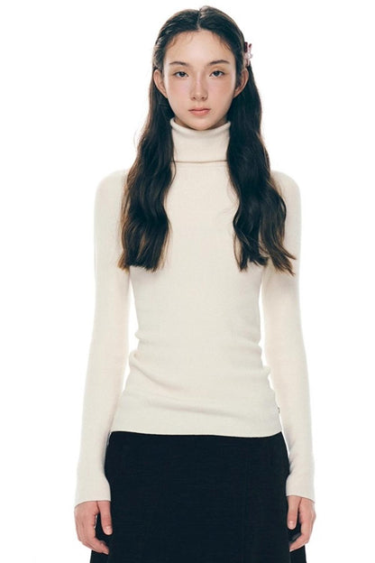 Winter Colorist Turtleneck Top