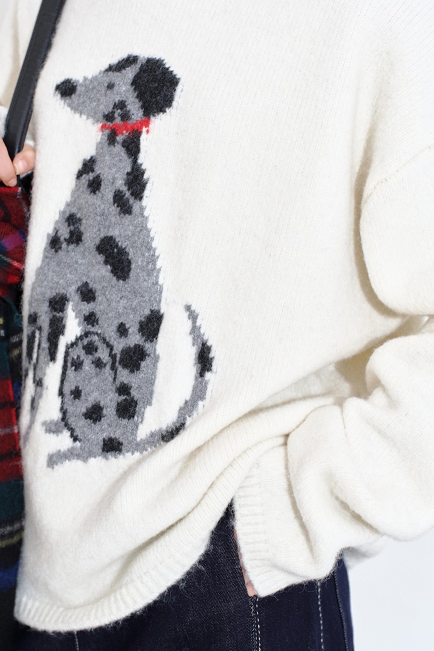 Spotted Puppy Intarsia Top