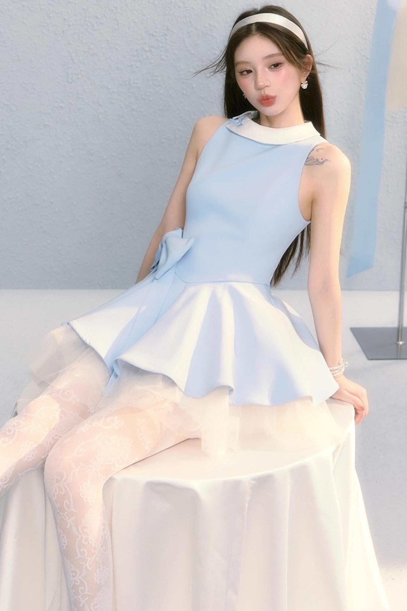 Fugitive Princess Mesh Panel Ballet Dress