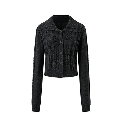 Lapel Knitted Sweater