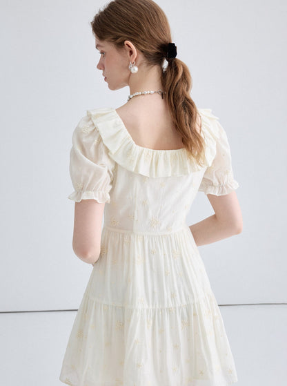Short Sleeve Lace Tea Dress
