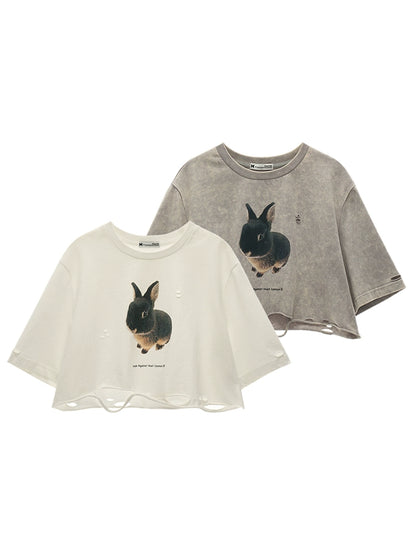 Summer Rabbit Top