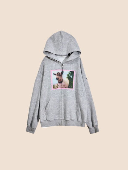 American Hoodie Jacket