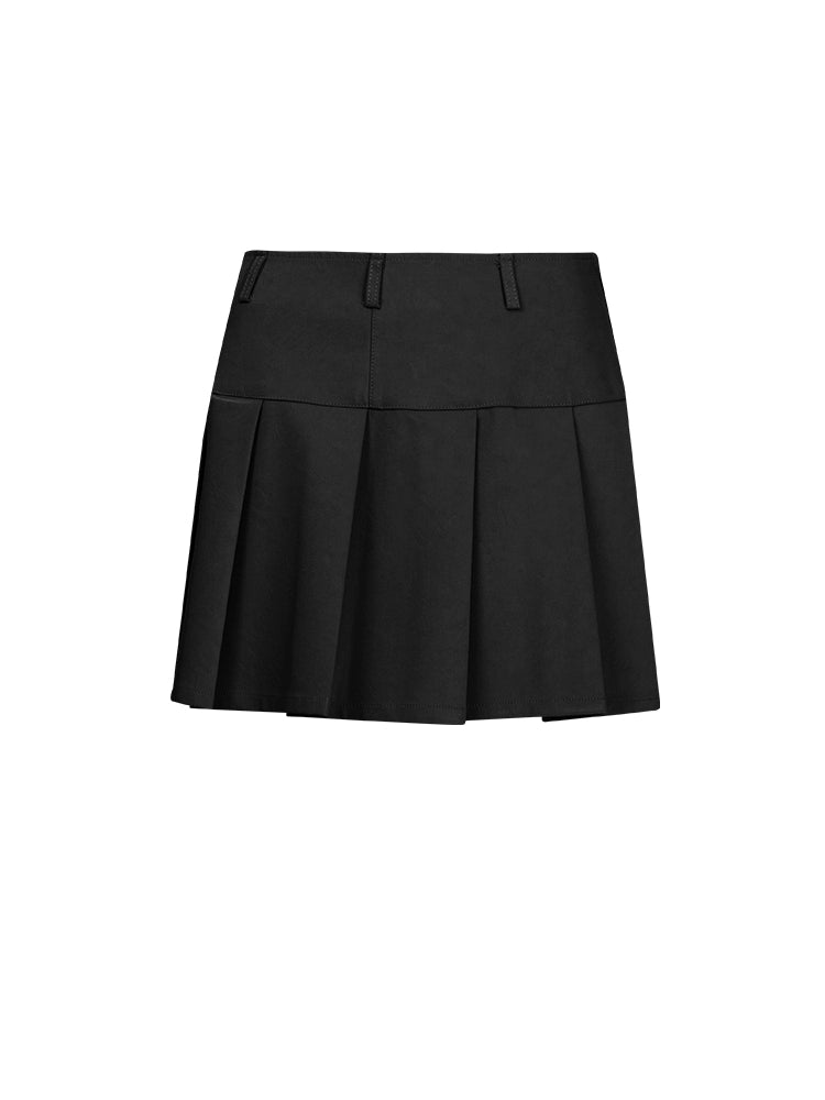 A-line Low Waist Pleated Skirt