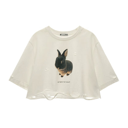 Summer Rabbit Top