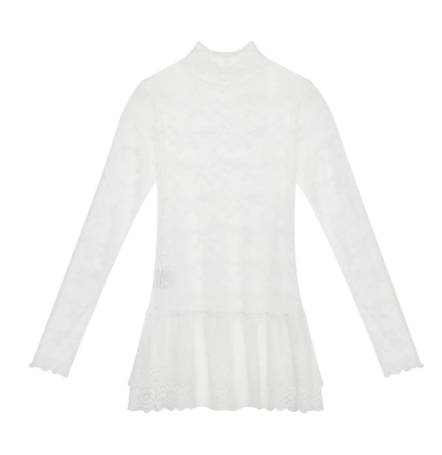 Lace Collar Shirt Transparent Top