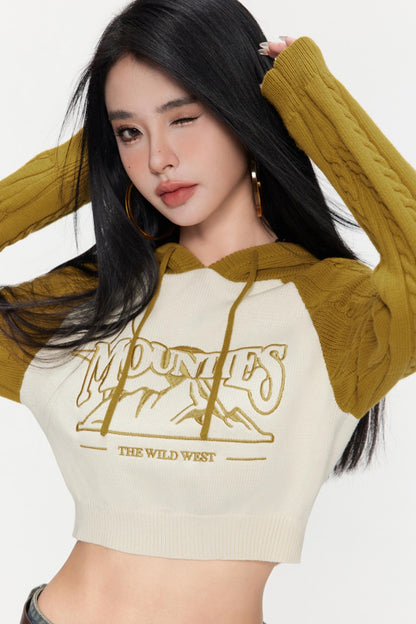 Contrasting Cropped Sweater