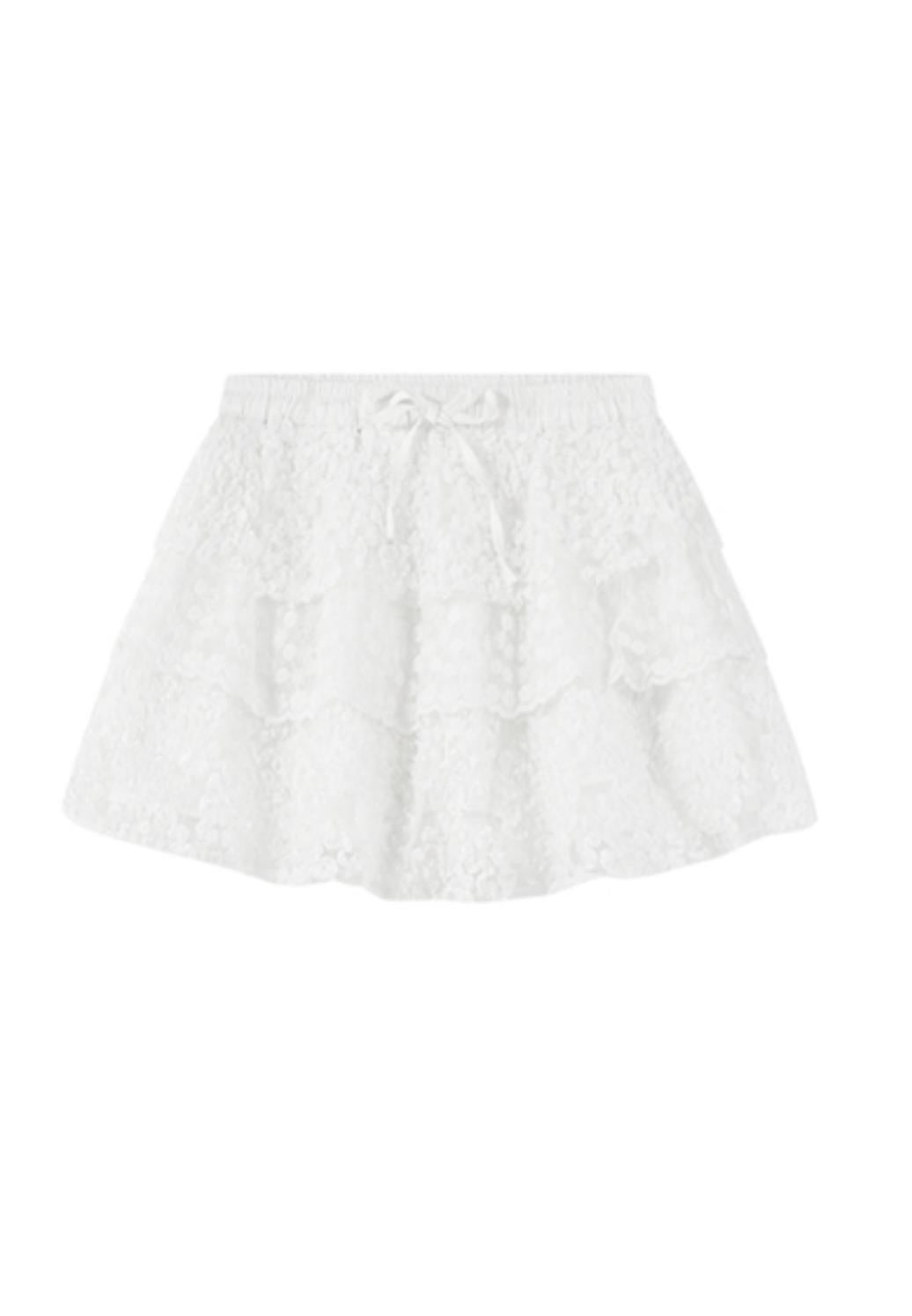 Floral Lace Skater Skirt