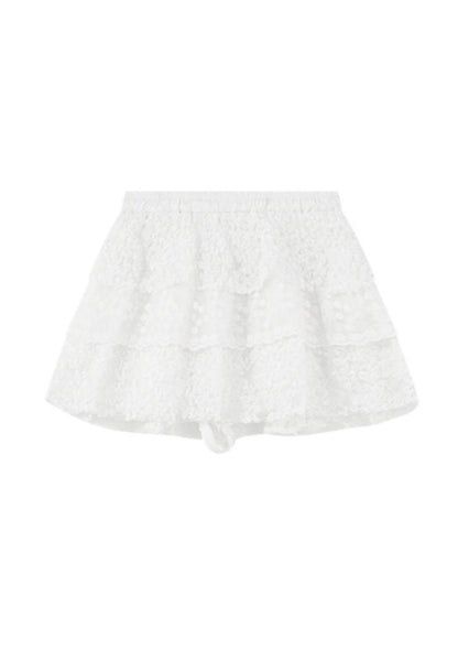 Floral Lace Skater Skirt