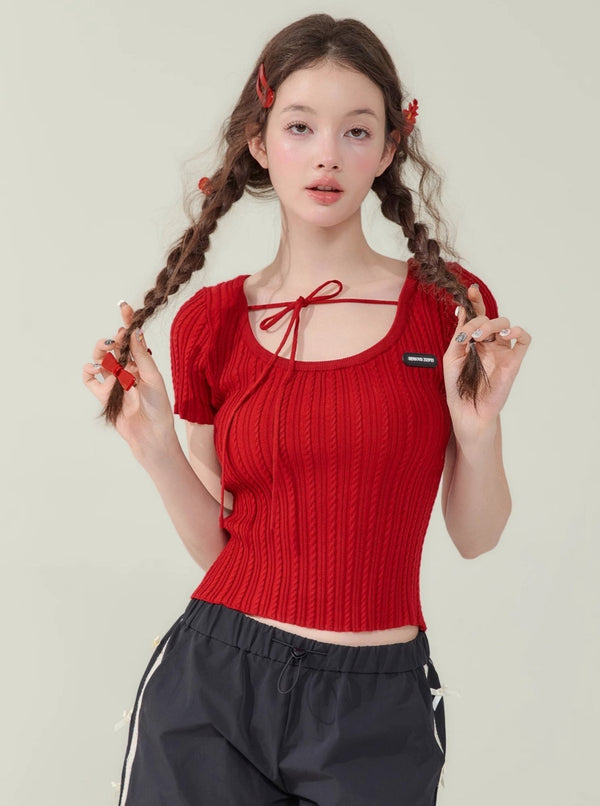 Knitted Short Sleeve Crop Top