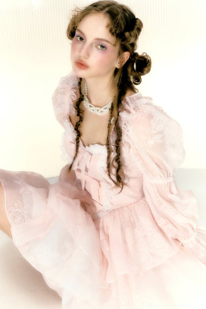 Rose Bow Long Sleeve Fairy Dress