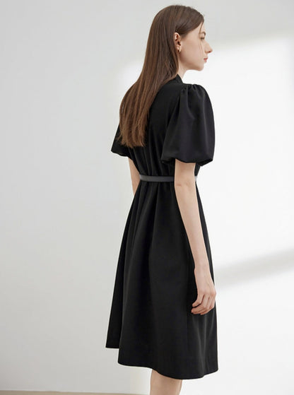Simple Small V-Neck Puff Sleeve Dress