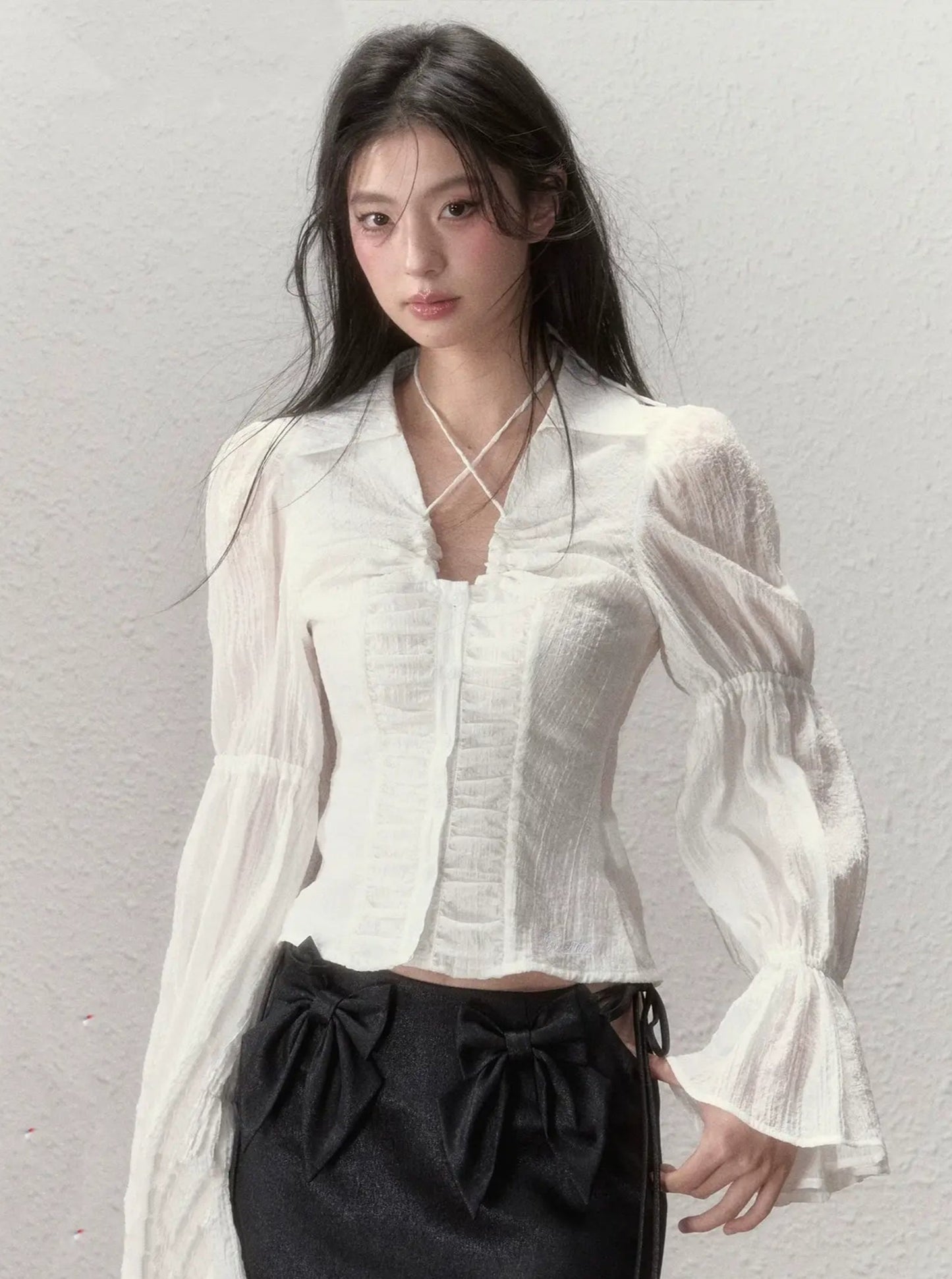 Sheer Puff Sleeve Cinched Waist Top