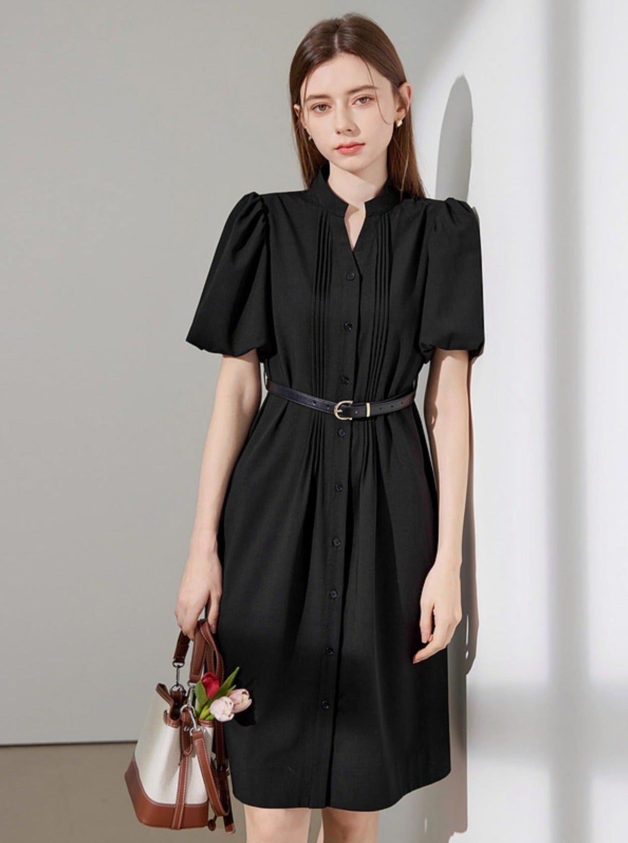 Simple Small V-Neck Puff Sleeve Dress