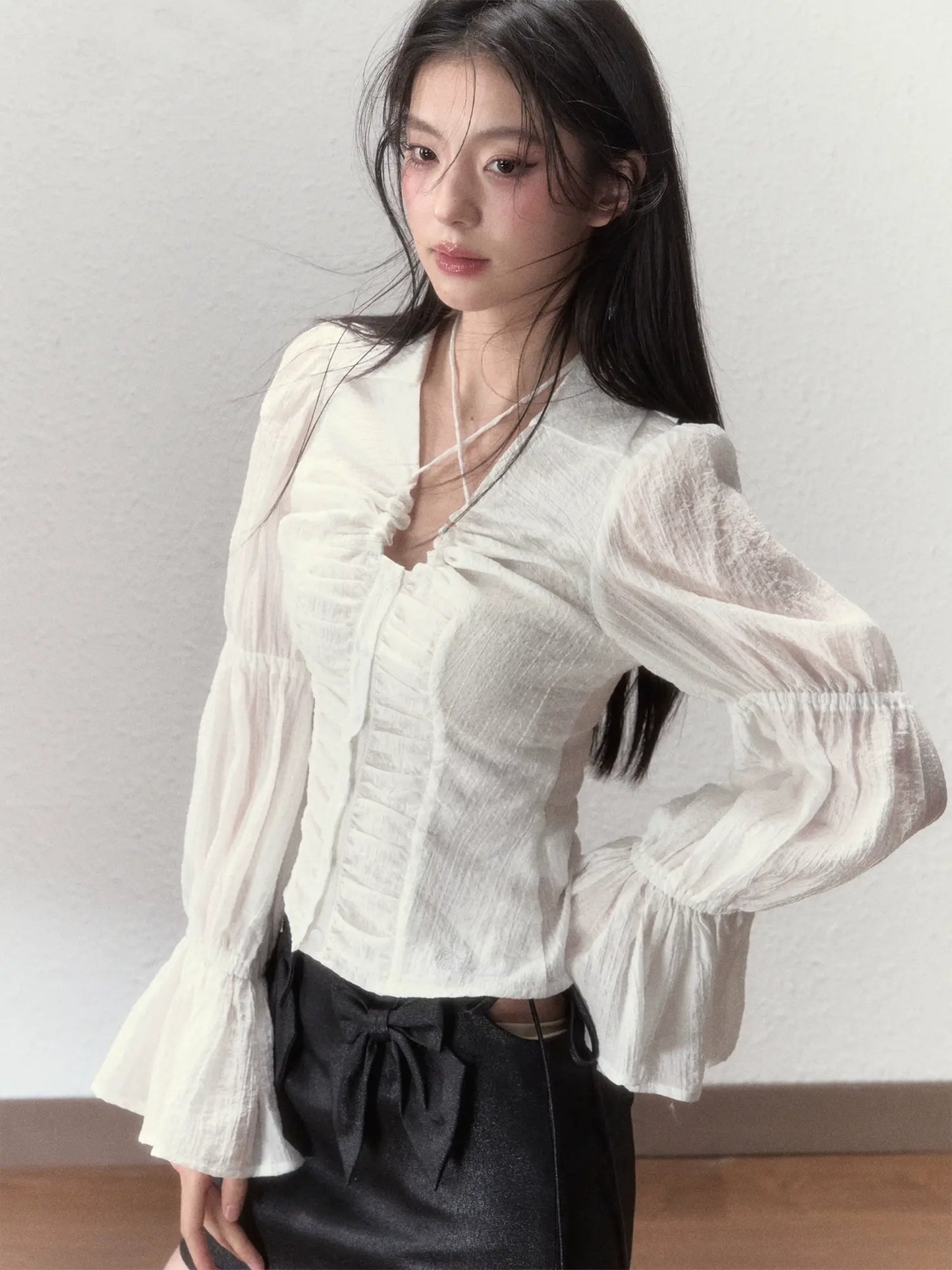 Sheer Puff Sleeve Cinched Waist Top