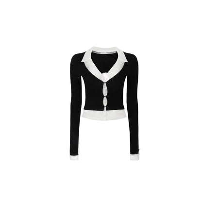 Luxury V-Neck Sweater Top