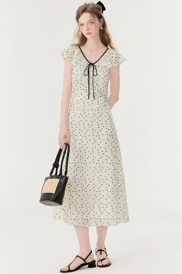 Polka Dot V-Neck A-Line Dress