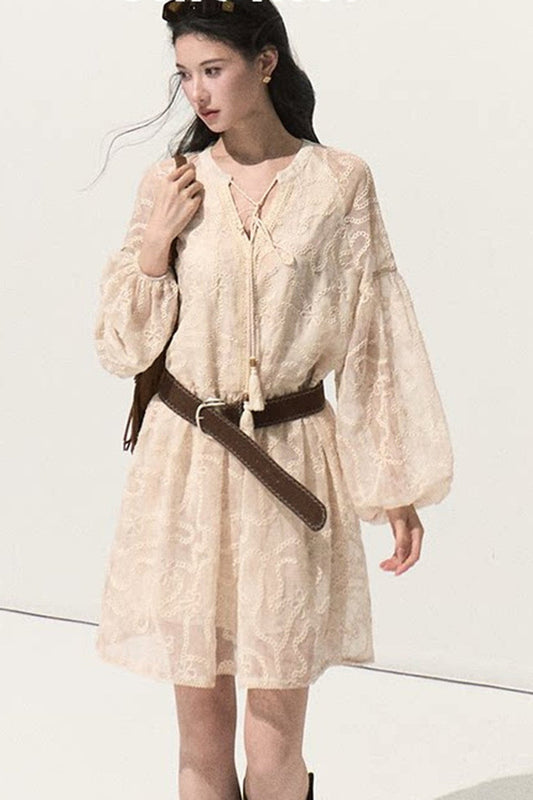 Long Sleeve Embroidered Jacquard Dress