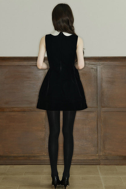 Lace Doll Collar Dress