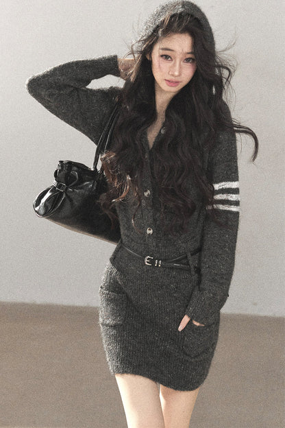 Whale Gray Wool Hooded Bodycon Sweater Dress
