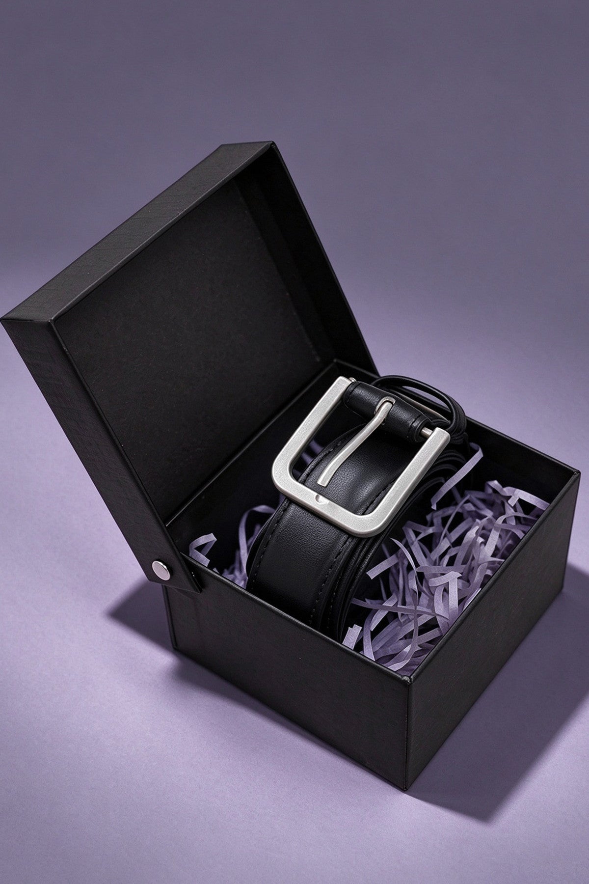 Collar Matte Silver Belt