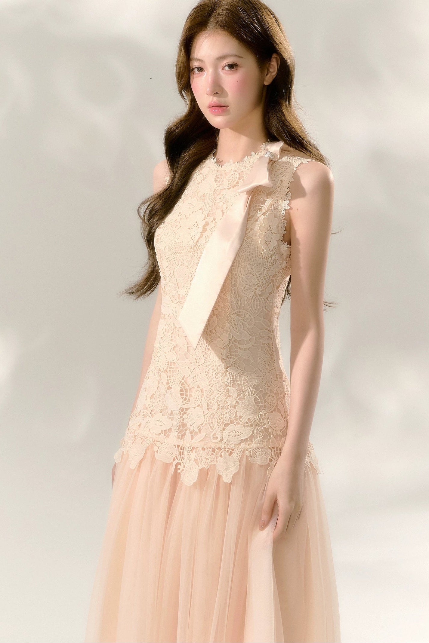 Lace Sleeveless Waist-Cinching Tulle Dress