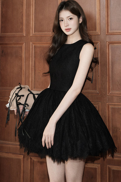 Sleeveless Lace Tutu Dress