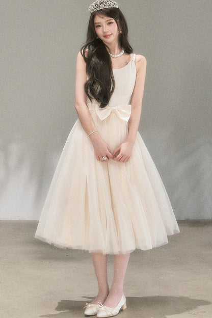 Mondlicht-Netzstoff-Ballettkleid