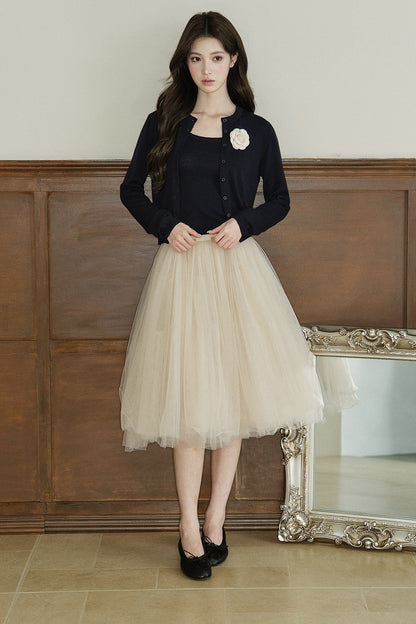 Mid-Waist A-Line Mesh Skirt