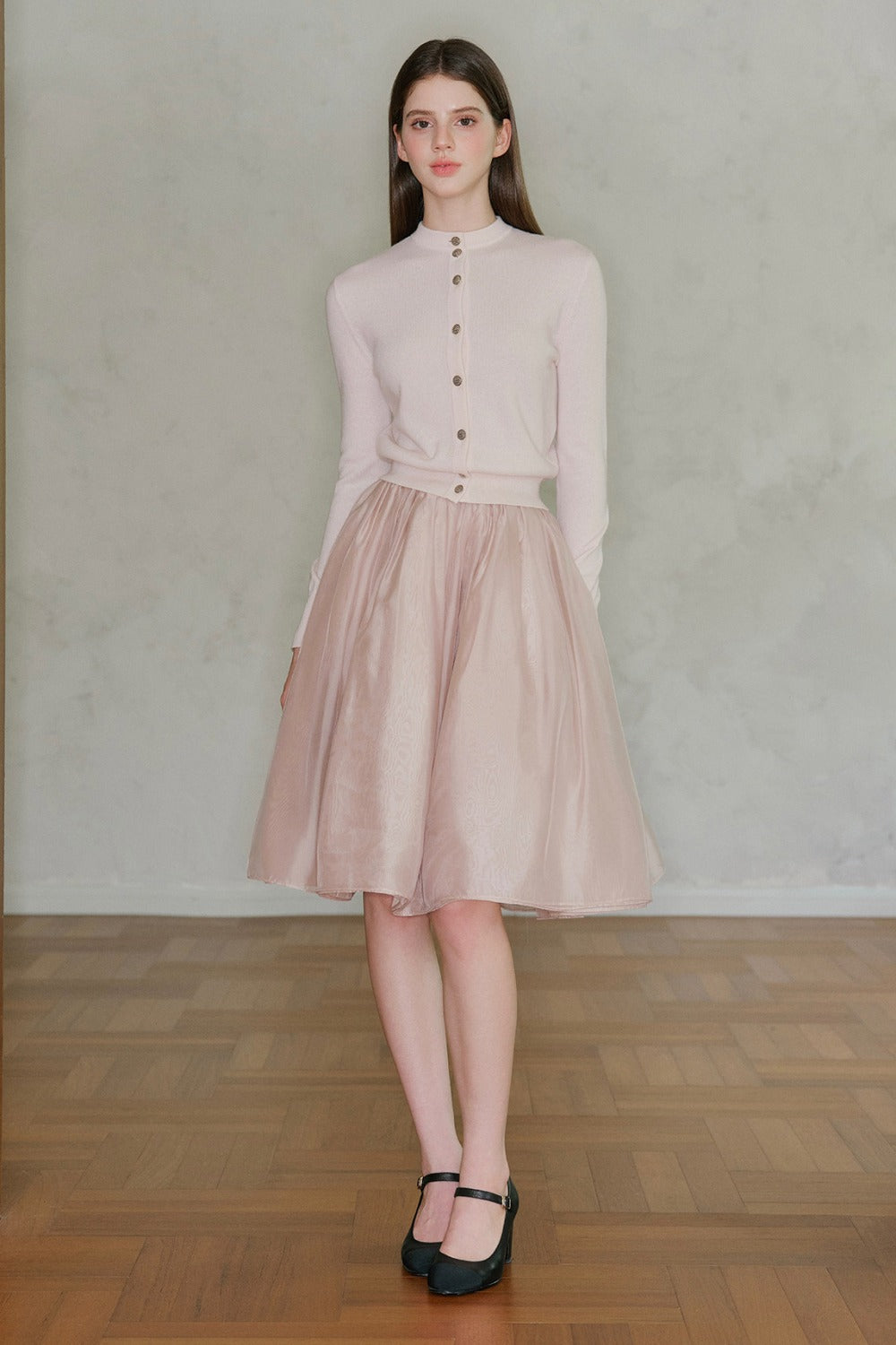 Pearlescent Mesh A-Line Skirt