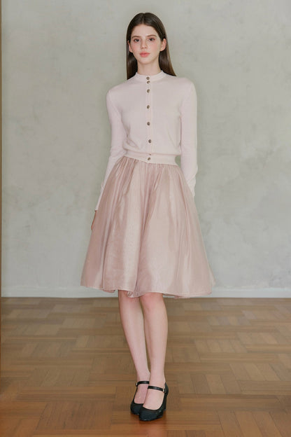 Pearlescent Mesh A-Line Skirt