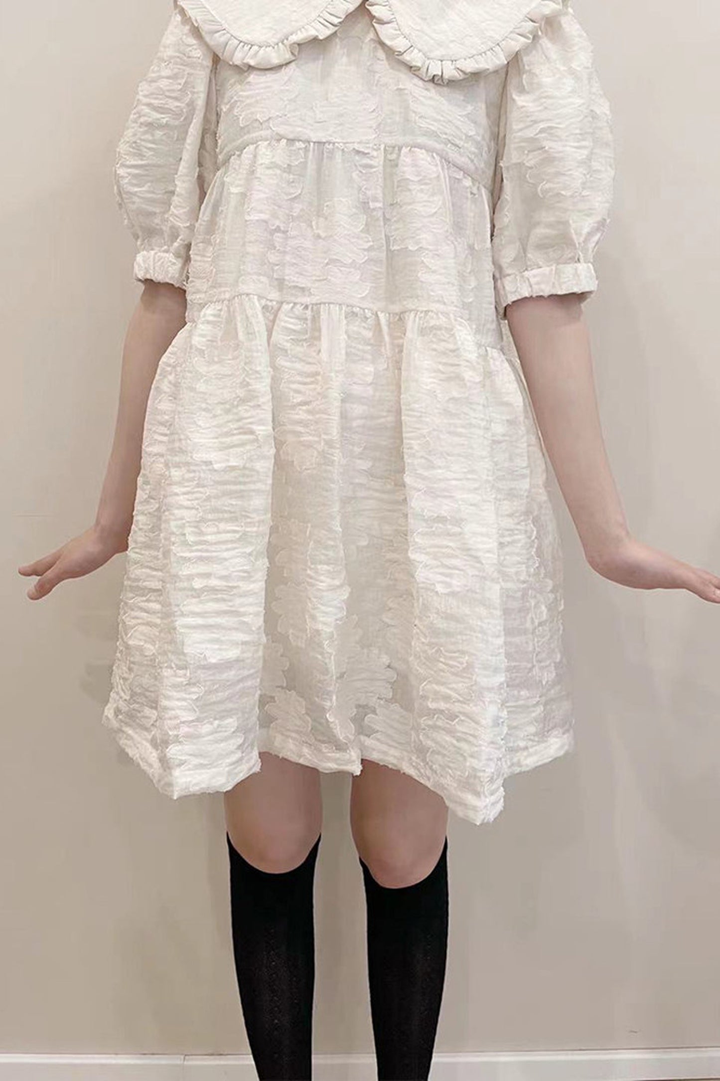 Ruffled Peter Pan Collar Dress