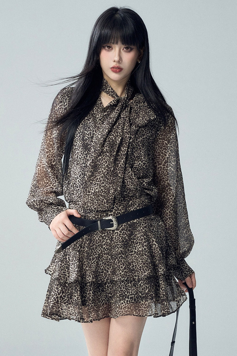 Long Sleeve Leopard Print Dress