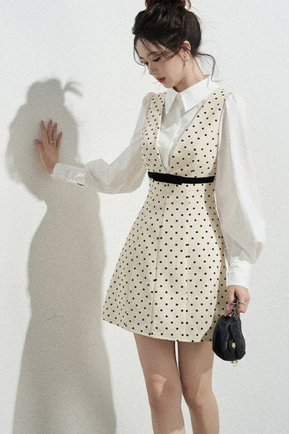 Polka Dot Shirt Collar A-Line Dress