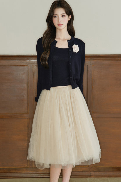 Mid-Waist A-Line Mesh Skirt