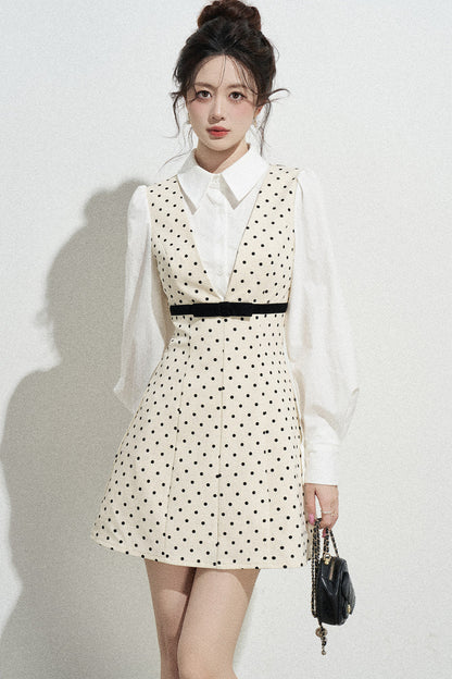 Polka Dot Shirt Collar A-Line Dress