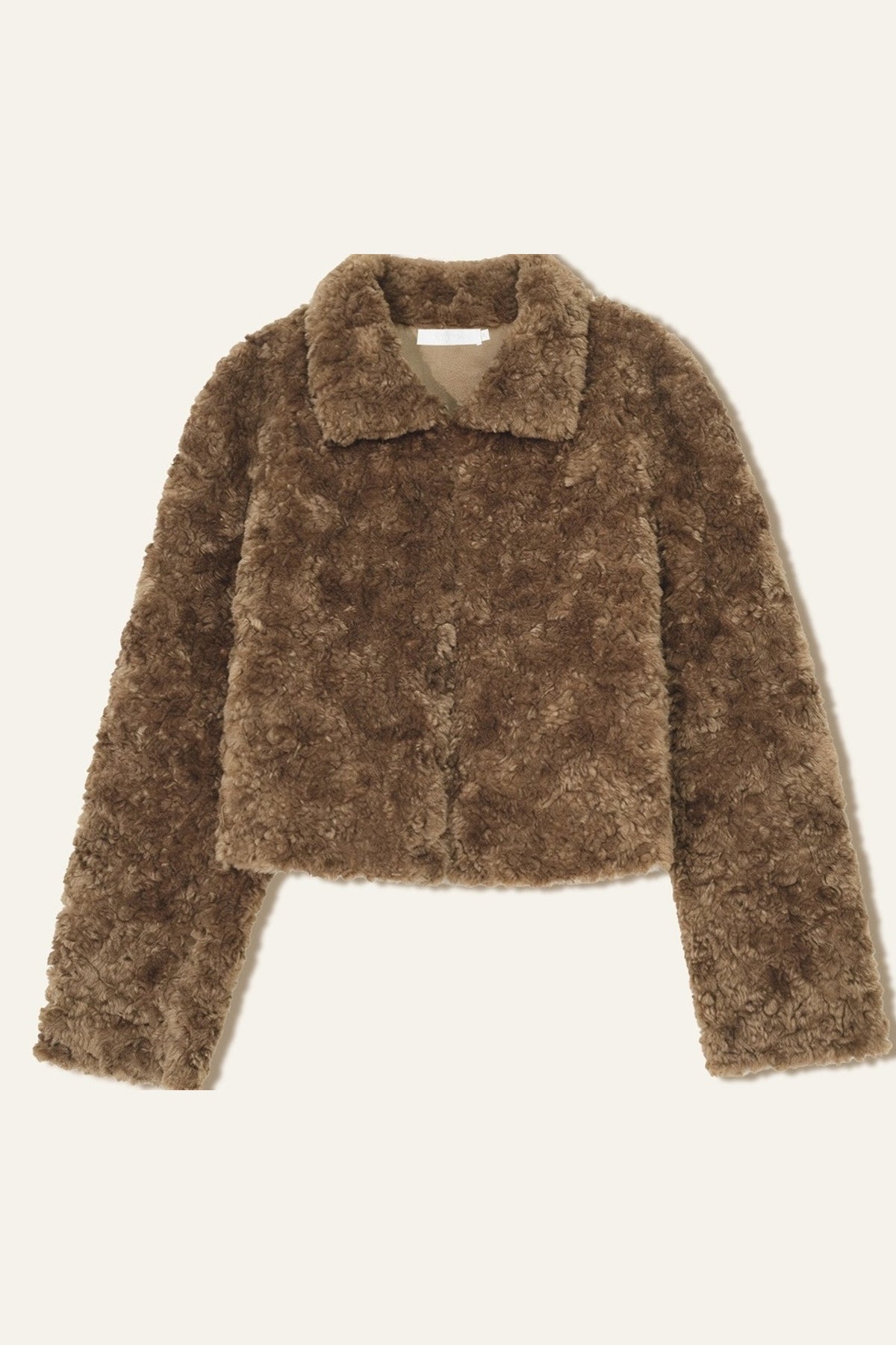 Retro Lamb Wool Plush Jacket