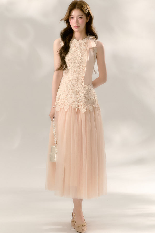 Lace Sleeveless Waist-Cinching Tulle Dress