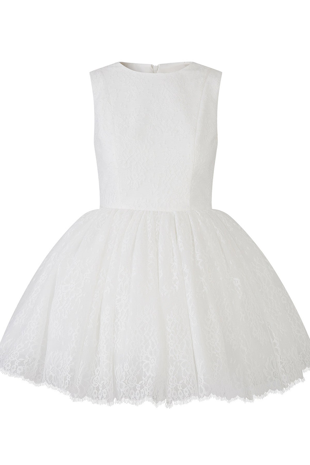 Sleeveless Lace Tutu Dress