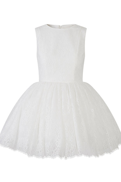 Sleeveless Lace Tutu Dress