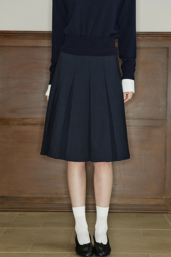 A-Line Pleated Skirt