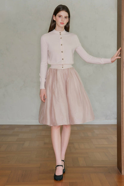 Pearlescent Mesh A-Line Skirt