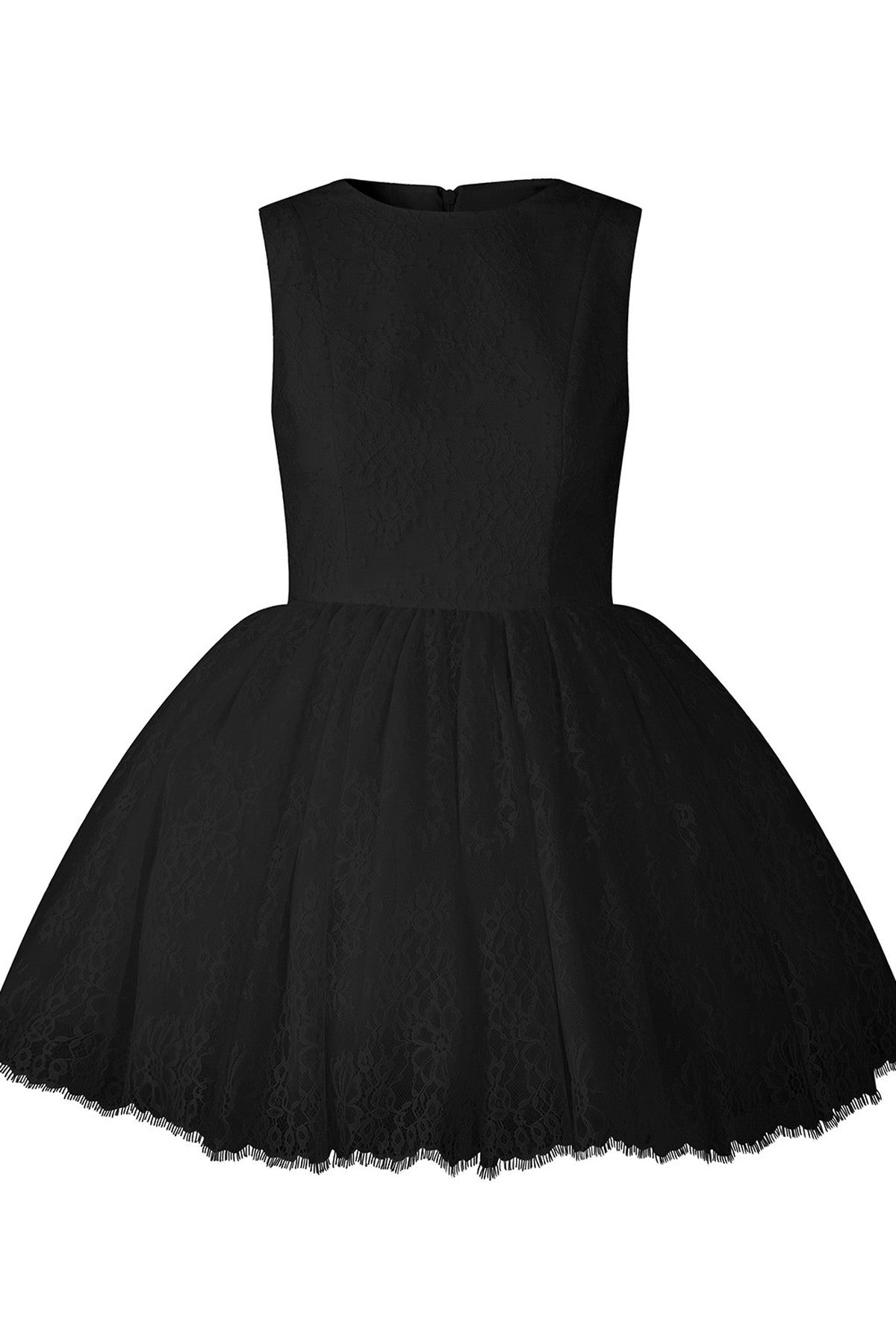 Sleeveless Lace Tutu Dress